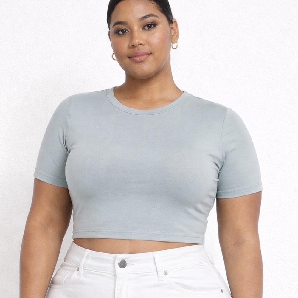 SKIMS Fits Everybody Super Crop T-Shirt Moonstone 3X